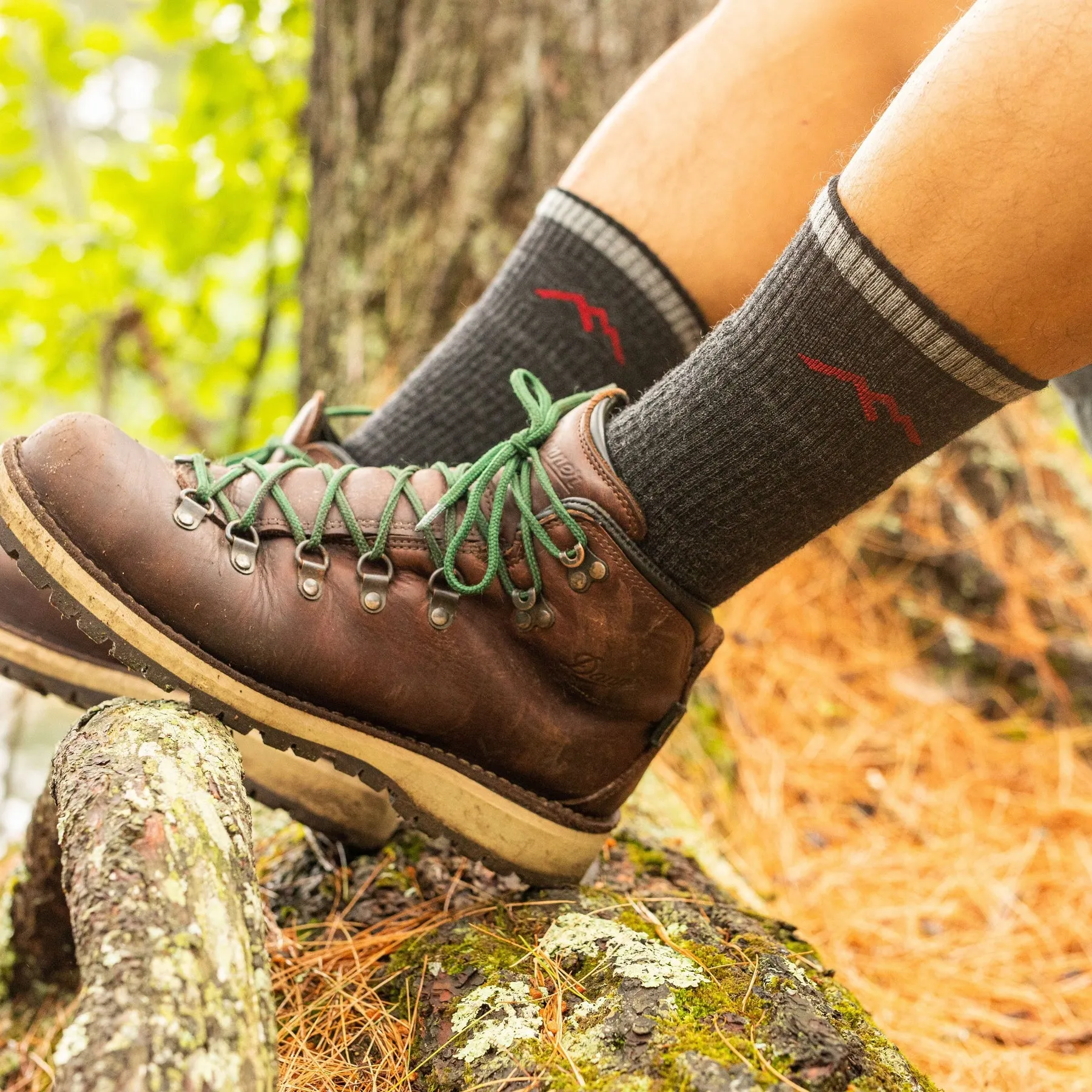 Darn Tough 1403 Men's Hiker Boot Midweight Hiking Sock - Charcoal